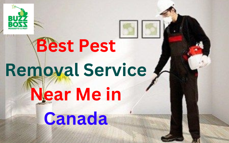 Best Pest Removal Service Near Me in Canada